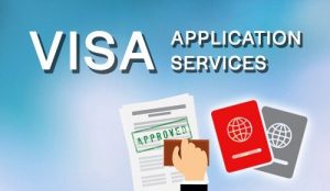 Read more about the article Danish Visa Process and Requirements