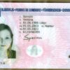 Belgian drivers license