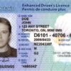 Canadian drivers license