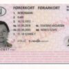 Norwegian drivers license