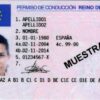 Spanish drivers license